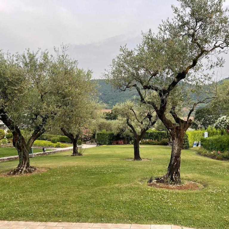 Cà Leo in Garda, relax & pool - Appartamento con 1 Camera da Letto - 9