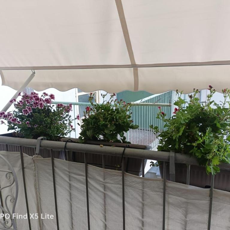 Suite 374 - Appartamento con 1 Camera da Letto - 13