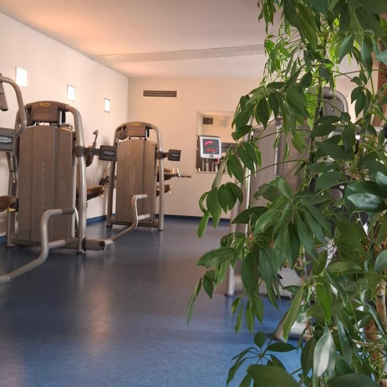 Apartment Wohlfühl-Oase mit Pool & Sauna, aktivCard inkl - Appartamento con Vista e Balcone - 35