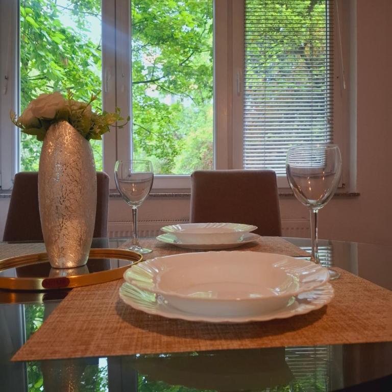 Urban Elegance Apartment Sarajevo - Apartman sa 1 Spavaćom Sobom - 9