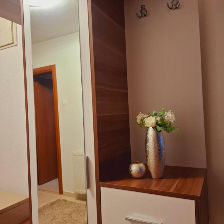 Urban Elegance Apartment Sarajevo - Apartman sa 1 Spavaćom Sobom - 12