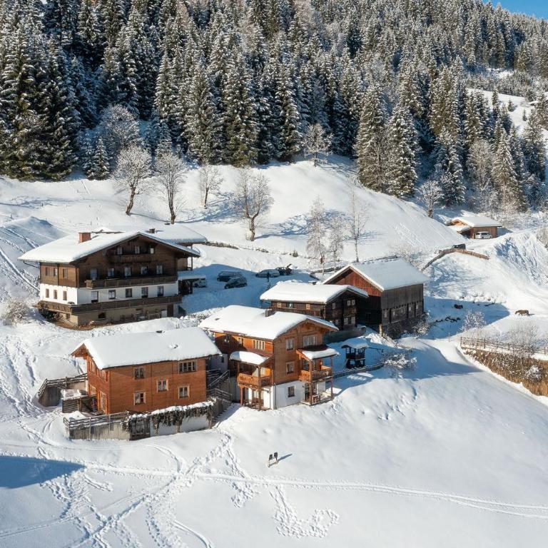 Almliesl HUET-136 - Ferienhaus - 5