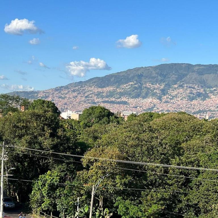 Los Molinos Apartment - Apartamento - 6