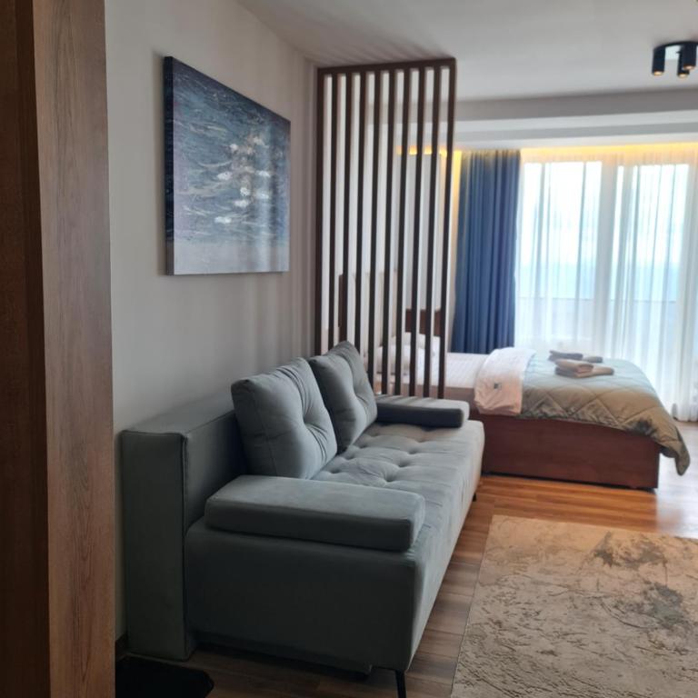 SkyKop Apartmani - Apartman sa 1 Spavaćom Sobom, Balkonom i Pogledom na Planinu - 14