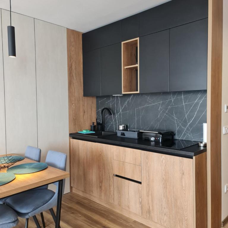 SkyKop Apartmani - Apartman sa 1 Spavaćom Sobom, Balkonom i Pogledom na Planinu - 16