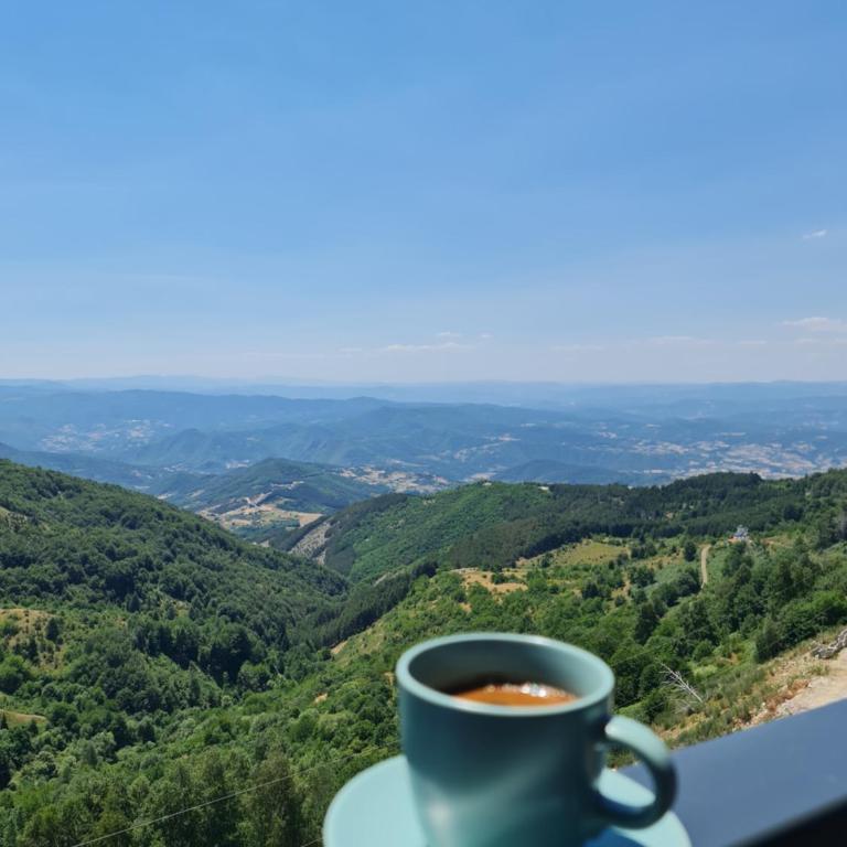 SkyKop Apartmani - Apartman sa 1 Spavaćom Sobom, Balkonom i Pogledom na Planinu - 16