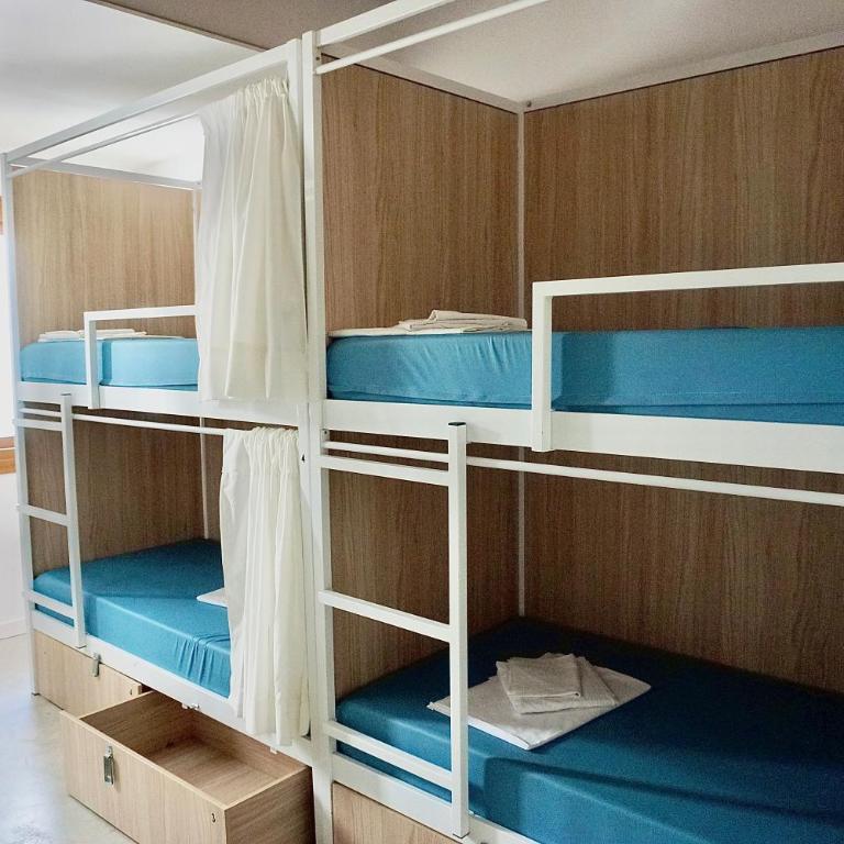 Urban Hostel Palma - Albergue Juvenil - Youth Hostel - Cama Individual en habitación compartida femenina - 6