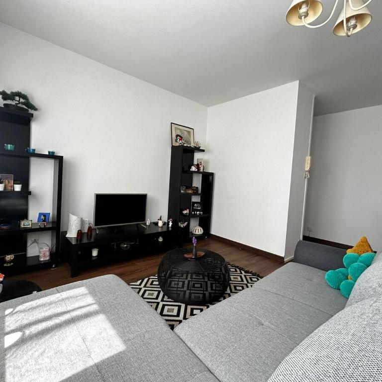 Le Bénédictins, proche de la Gare - Appartement 1 Chambre - 43