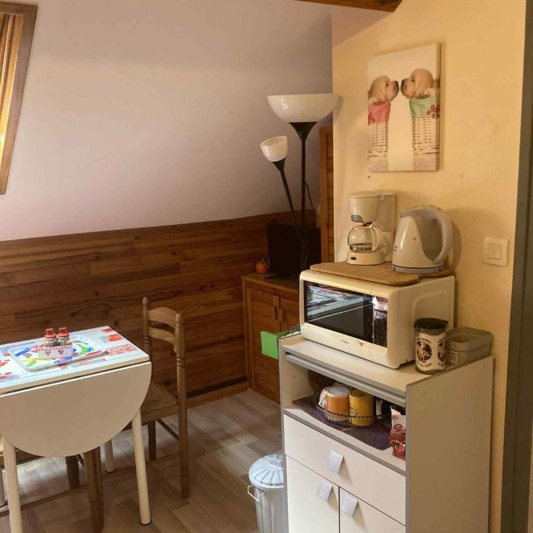 Studio CENTRE Mont Dore, Volière des Pics 2pers15m2 parking Gratuit chemin randonnée - Apartment mit 1 Schlafzimmer - 5