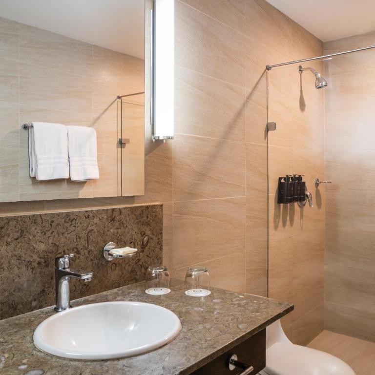 Hotel Poblado Alejandria - Habitación Doble - 6