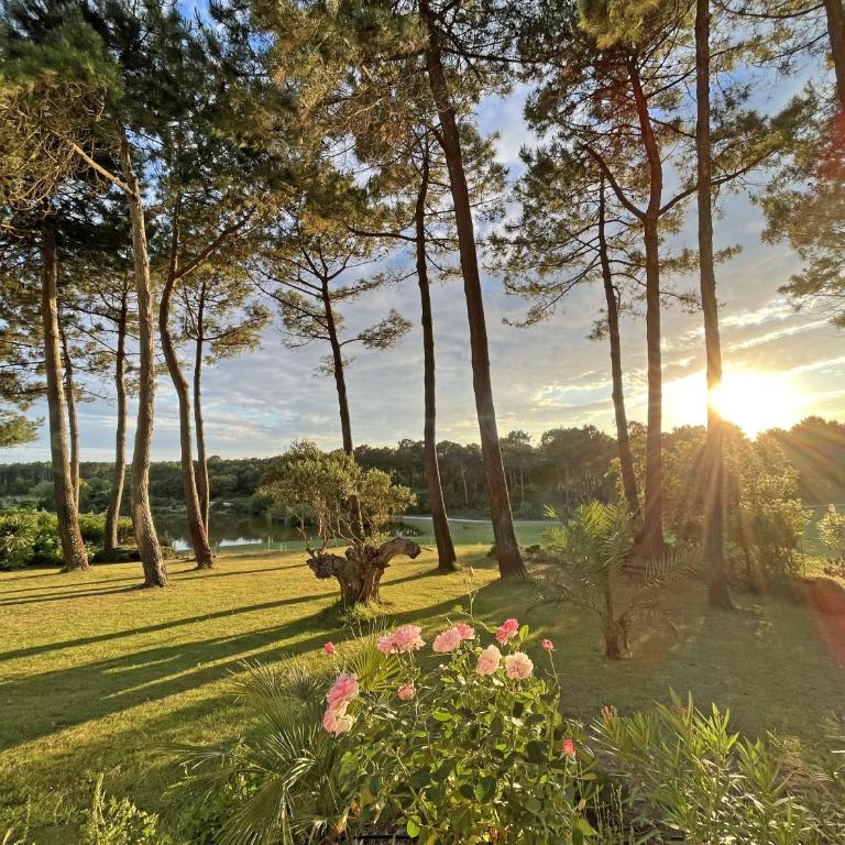 Villa Hau'Oli, 4 chambres, spacieuse, piscine privée, grand jardin fleuri vue golf et 8min à pied de la plage - Villa - 10
