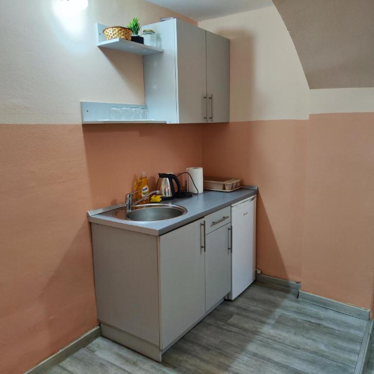 Pansion Mostari - Mostar Old Town - Apartman sa 1 Spavaćom Sobom - 4
