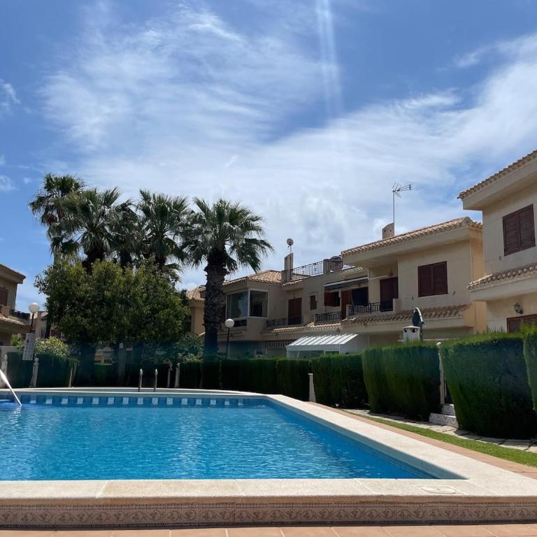 among palm trees in Playa Flamenca - Apartamento de 2 dormitorios - 14