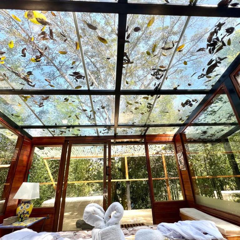 Hospedaje Curiquindi - Mindo Eco Lodge - Deluxe Room - 6