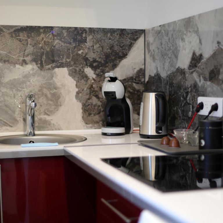 Appart Hotel avec Sauna, Jacuzzi, - Appartamento con 1 Camera da Letto - 18