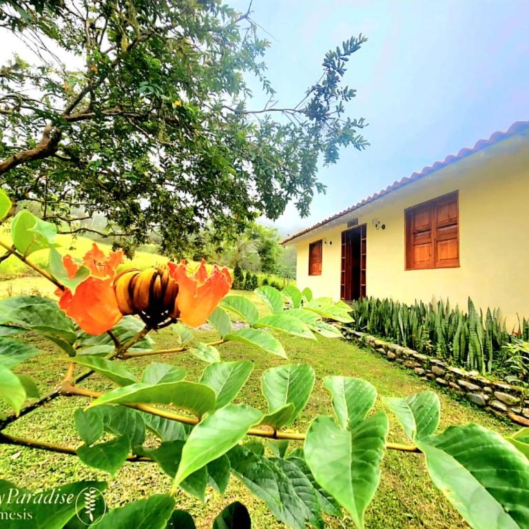 Mi Paraiso Escondido, Tamesis - Apartamento de 1 dormitorio - 1