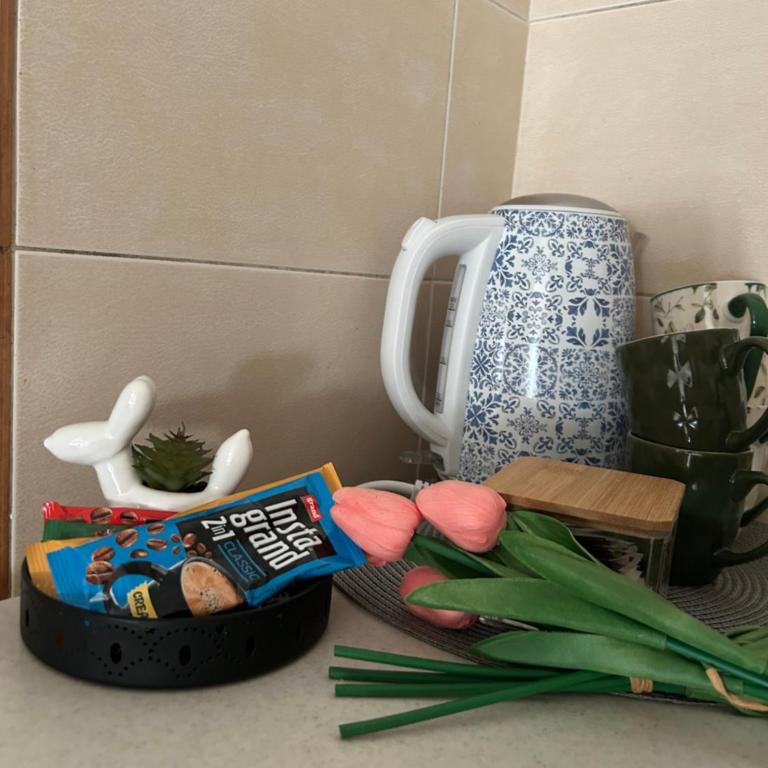 Apartman Ivana - Apartman sa 1 Spavaćom Sobom - 12