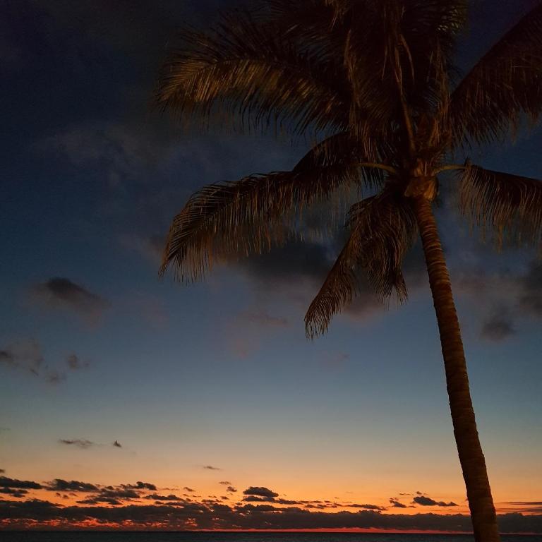 Calma Canaria Ocean Sunset Jacuzzi Wifi pool and bbq - Apartamento de 2 dormitorios - 2