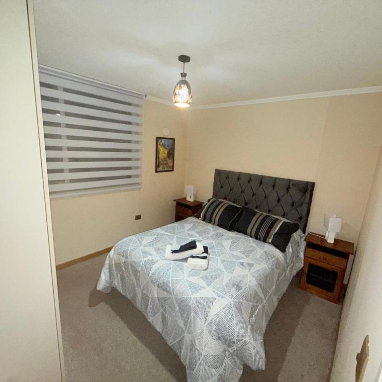 Departamento Temuco - Apartamento de 3 dormitorios - 2