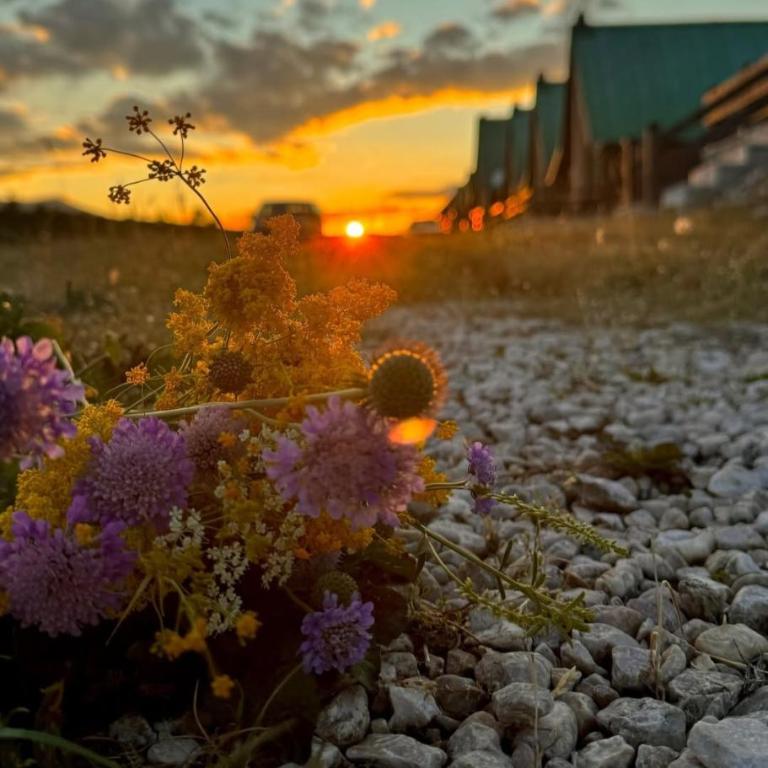 Mountain Soul Rest - Three-Bedroom House - 6