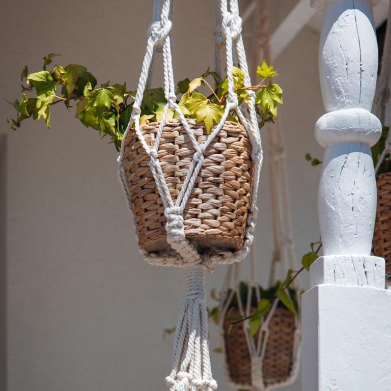 Las Palmitas, casettina indipendente con giardino - One-Bedroom Apartment with Garden - 22