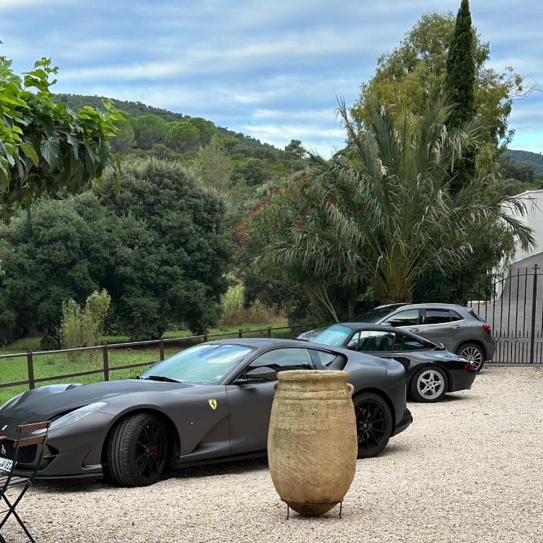 Le Clos des Sept Palmiers - Chambre double supérieure au rez-de-chaussée - 3
