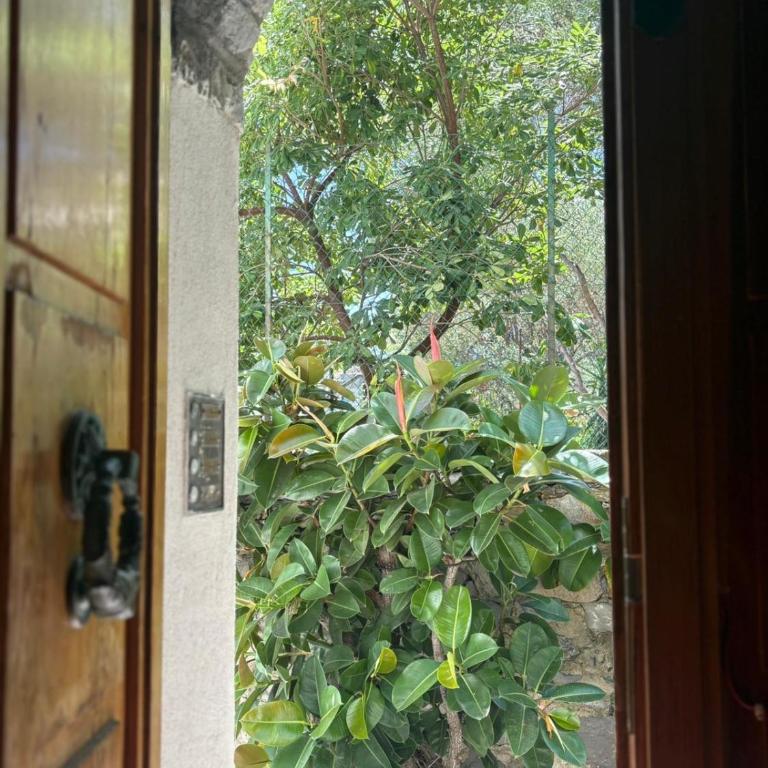 Le Finestre Veneris - Deluxe Double Room with Side Sea View - 23