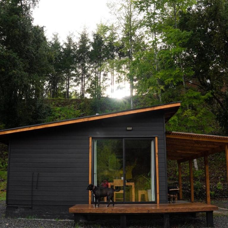 Refugio Sobre Río - Coihue - Casa de 2 dormitorios - 8