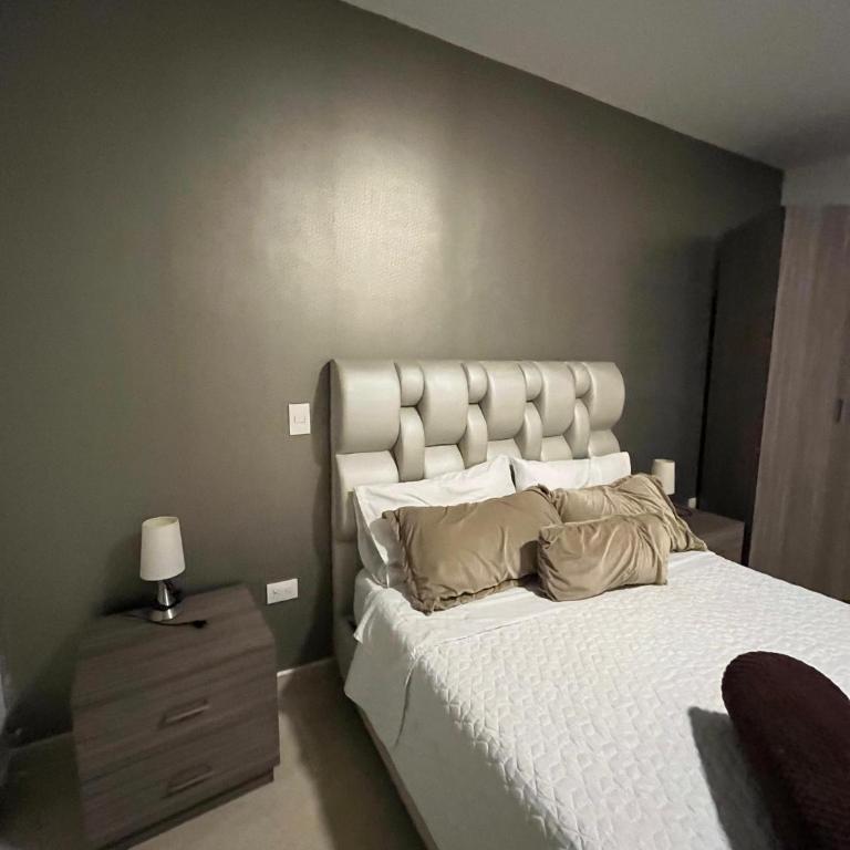 Hotel Roma VIP Pereira - Deluxe Double Room - 6