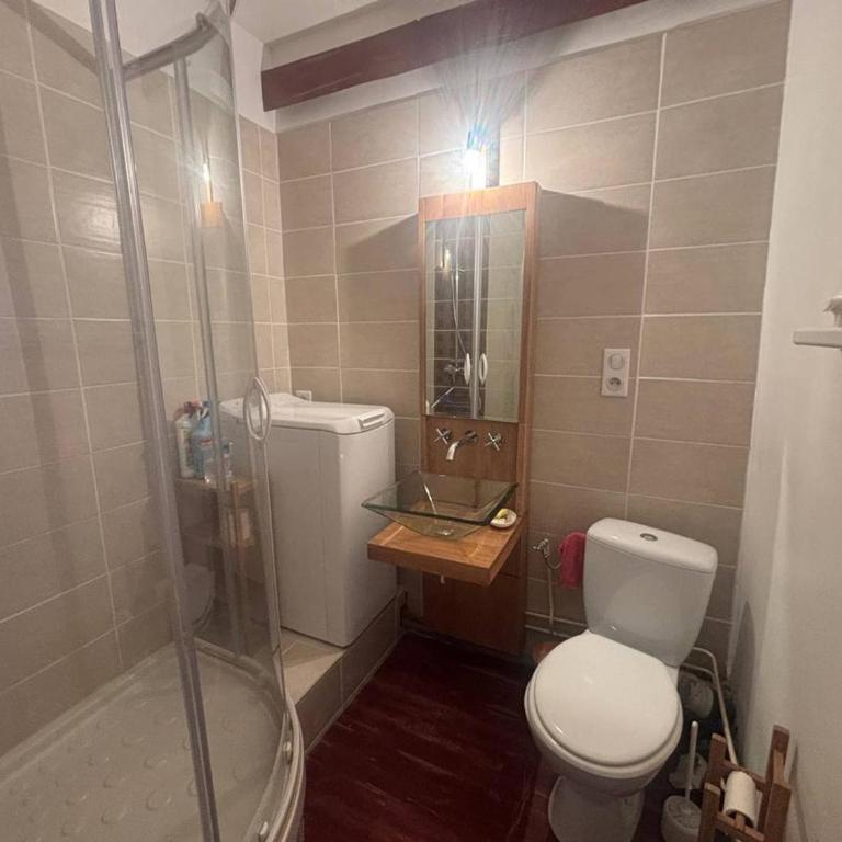 Studio cabine avec ascenseur, idéal couple ou famille, fonctionnel et bien équipé - Studio - 10