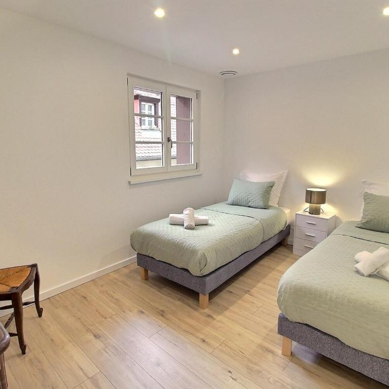 Duplex élégant pour 4 pers avec garage au centre de Colmar - FR-1-722-13 - Apartment - 7