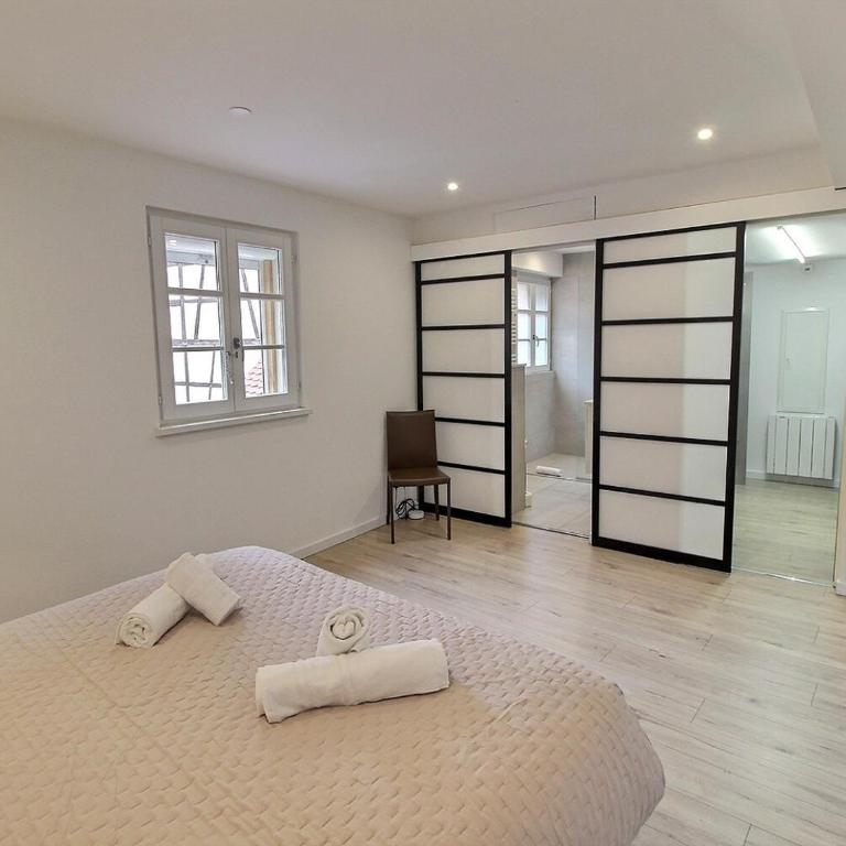 Duplex élégant pour 4 pers avec garage au centre de Colmar - FR-1-722-13 - Apartment - 10