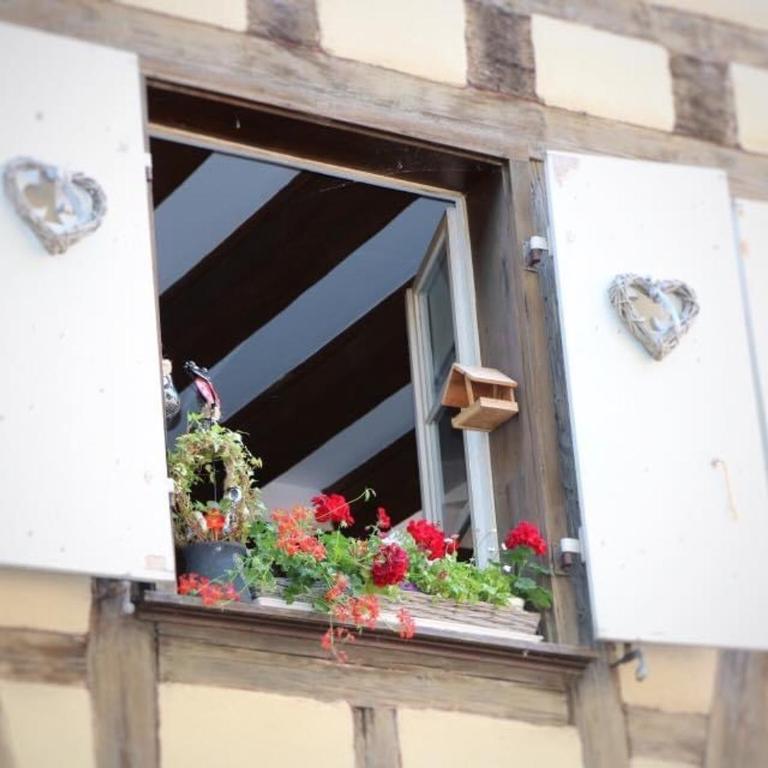 Duplex élégant pour 4 pers avec garage au centre de Colmar - FR-1-722-13 - Apartment - 31