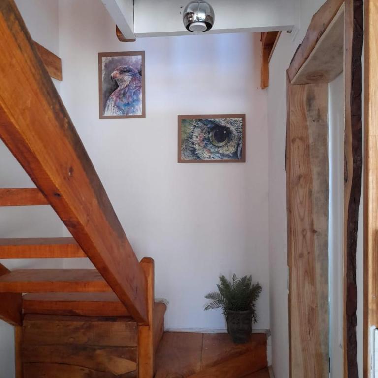 Cabañas Fazia - Casa con 1 dormitorio - 17