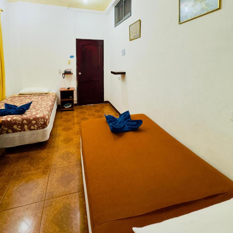 Tintorera Guest House - Apartamento de 3 dormitorios - 7