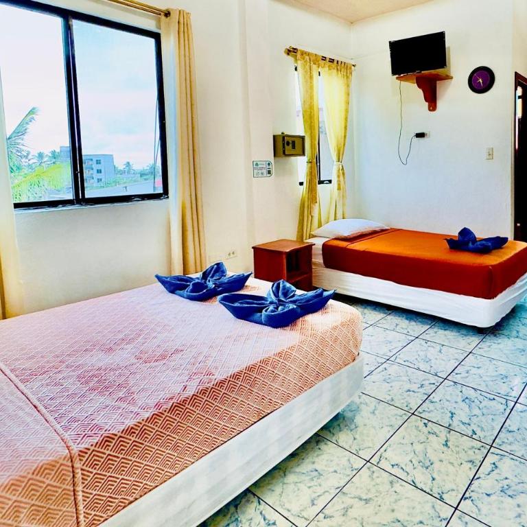 Tintorera Guest House - Apartamento de 3 dormitorios - 15