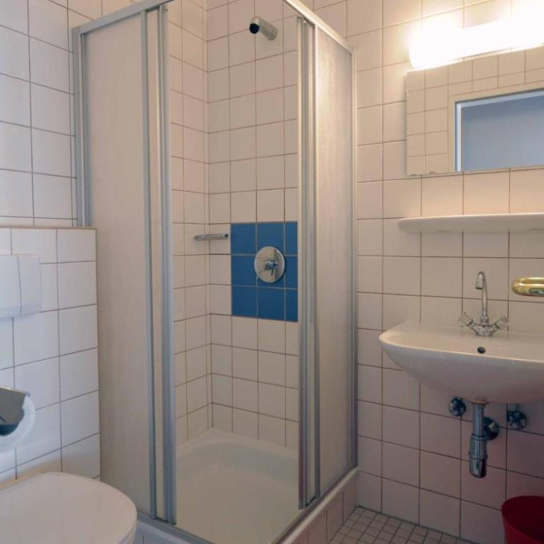 Junges Hotel Zell am See - Habitación Individual - 6