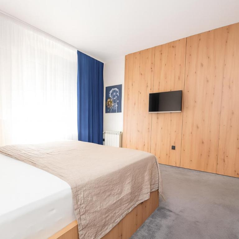 Central Belgrade Apartments - Deluxe Double Room - 5