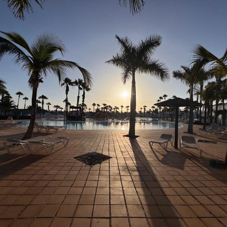 Oasis Jaylota - Apartamento de 1 dormitorio - 39