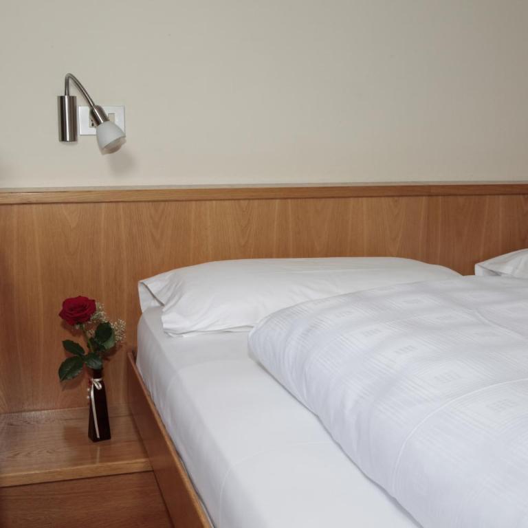 Hotel Alpino Plan - Camera Matrimoniale/Doppia con Letti Singoli - 2