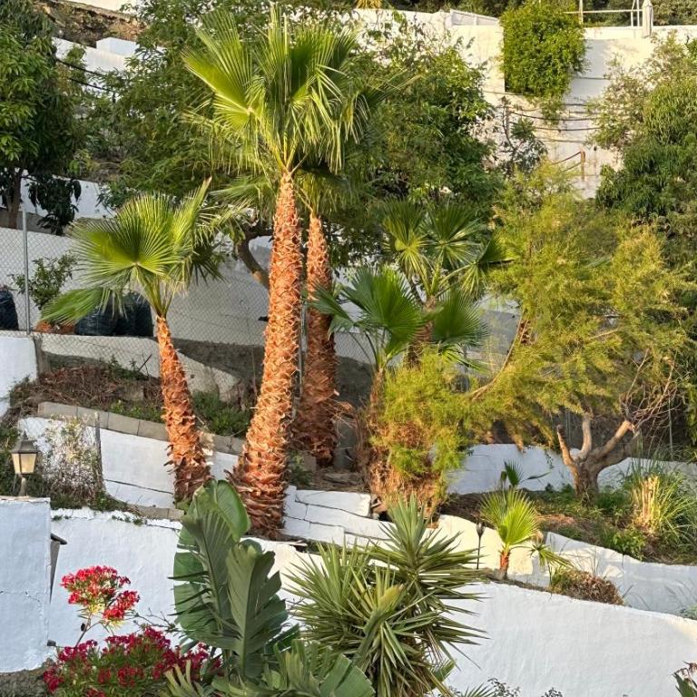 Villa Jina - Casa de 3 dormitorios - 17