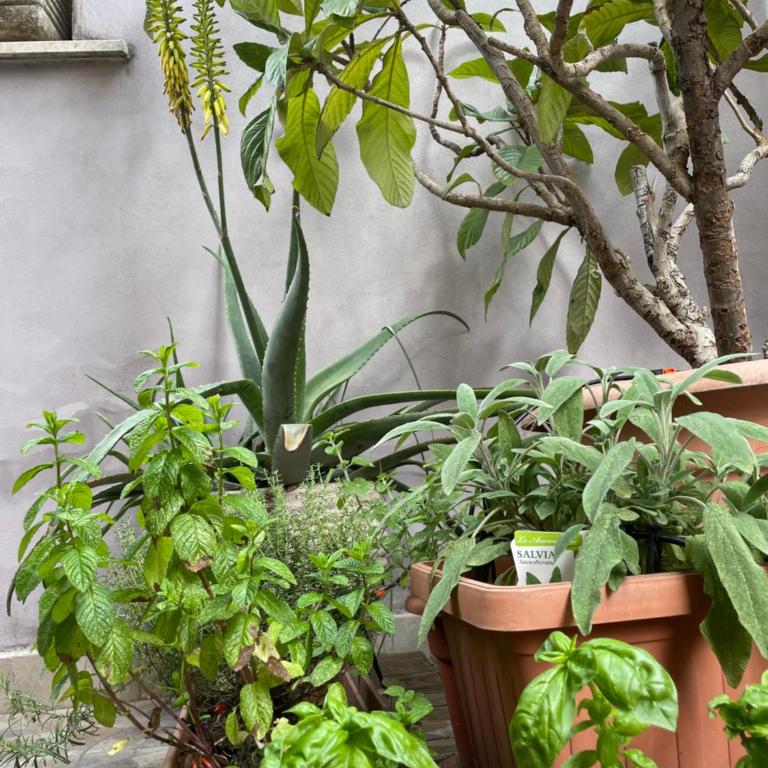 Appartamento luminoso con giardino - Appartement 1 Chambre - 20
