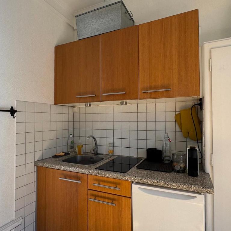 Studio cosy avec balcon et piscine à Aix-les-Bains - FR-1-555-115 - Studio - 7