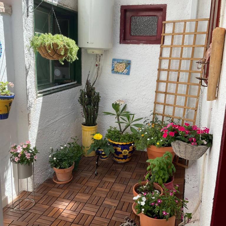 Tara Casa - Habitación Doble Económica - 1