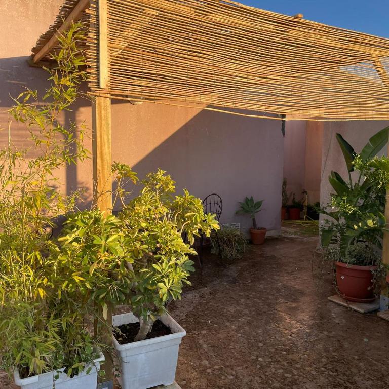Acquamarina Apartment with Terrace - Appartamento con 3 Camere da Letto - 2