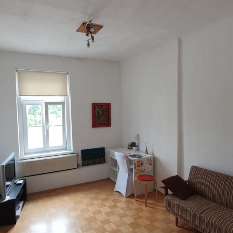 Victorias Apartment 1 - Apartamento de 1 dormitorio - 8
