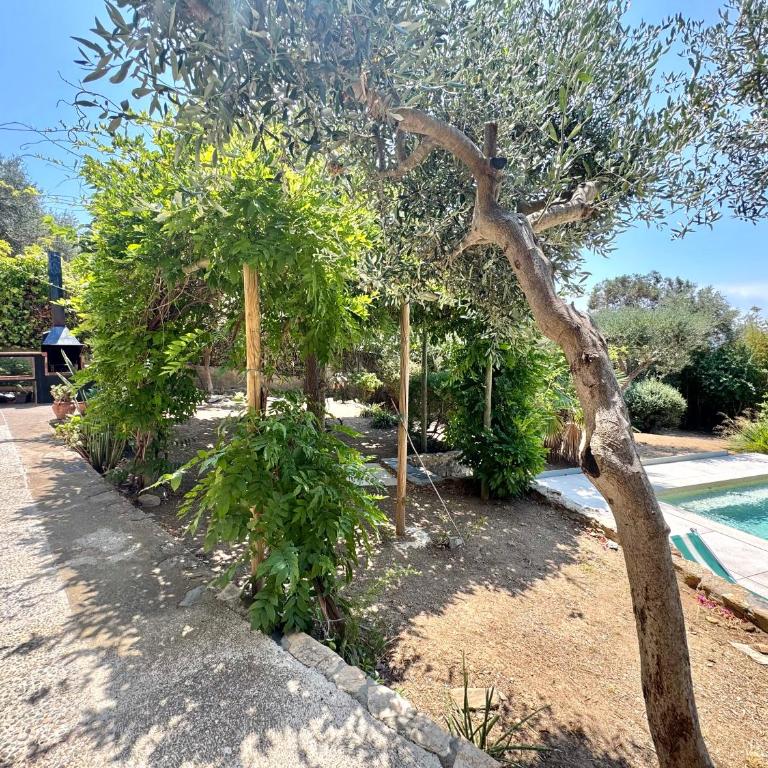 Casa Pindar - Casa - 49