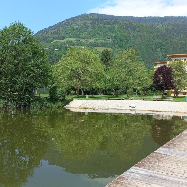 RENATE Haus KMB Seeappartement am Ossiacher See, Hallenbad, Skiarena Gerlitzen - Apartment mit 1 Schlafzimmer - 29