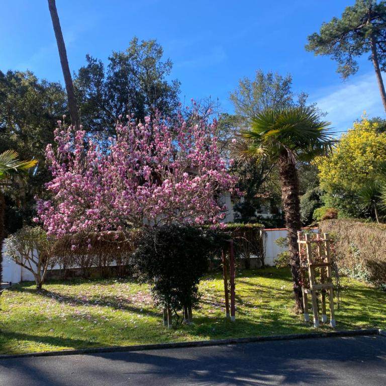havre de paix - Appartamento con Vista Giardino - 7
