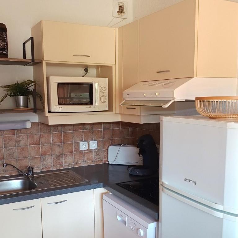 Location Superdévoluy: Duplex cosy 6 pers, Animaux admis - Appartement 1 Chambre - 4